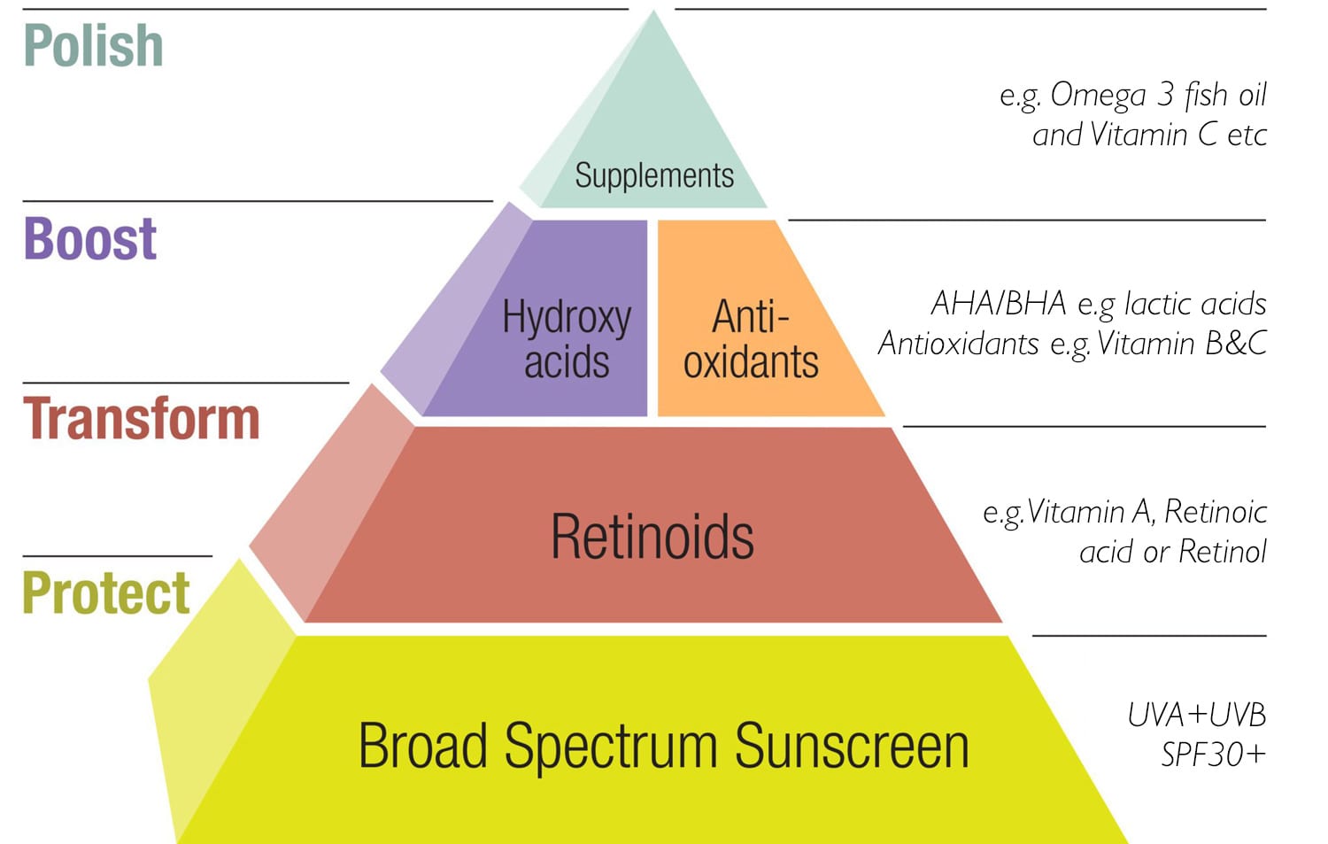 The Youthful Skin Pyramid